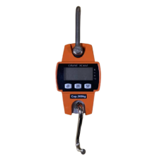 IOT scale
